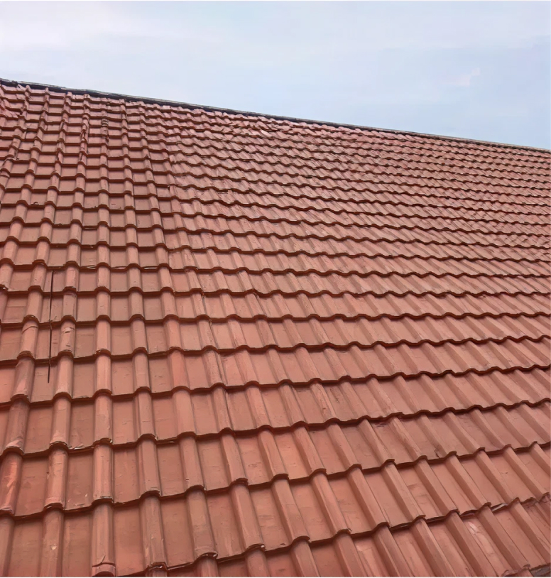 Toiture après entretien