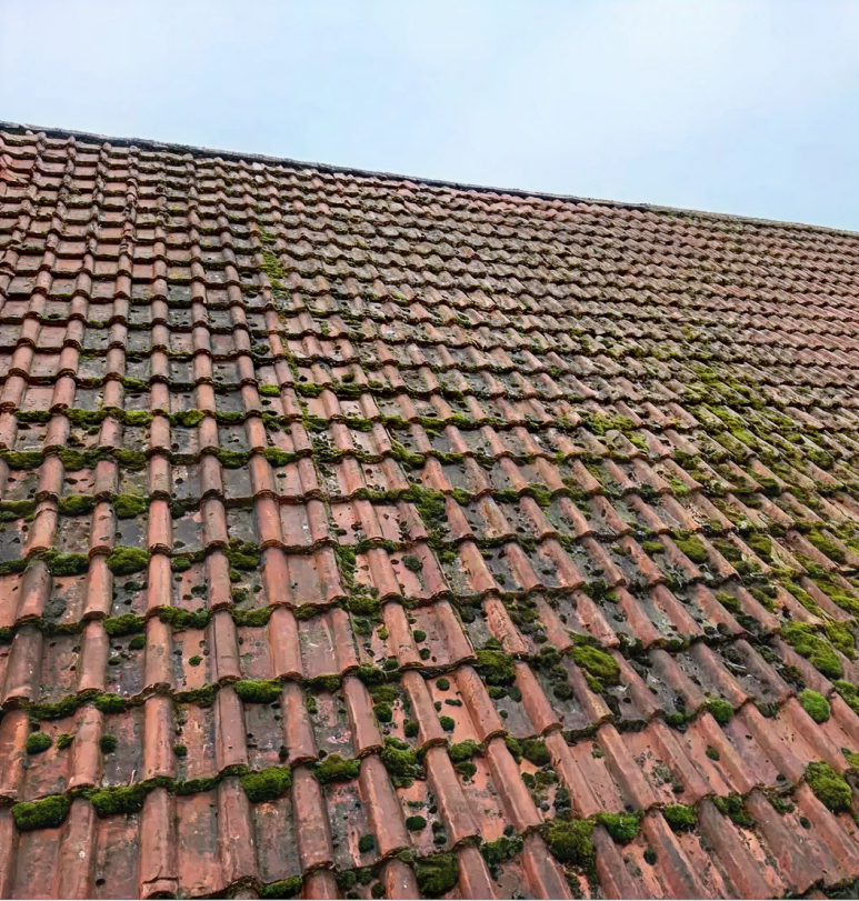 Toiture avant entretien